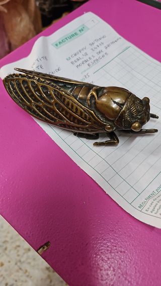Mosca de bronce francesa