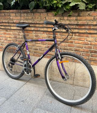 Bici adulto 26”