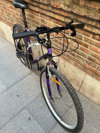 Bici adulto 26”