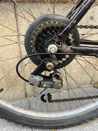 Bici adulto 26”
