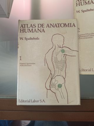 Atlas De Anatomia Humana (Huesos. Ligamentos Ar...