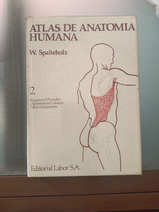 Atlas De Anatomia Humana (Huesos. Ligamentos Ar...
