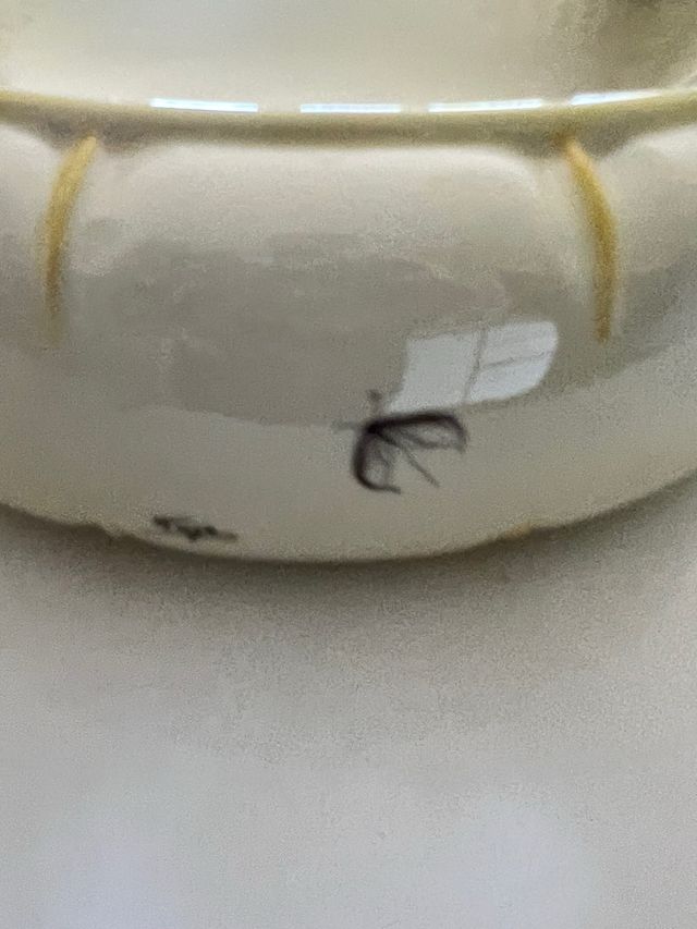 Coppa H. Pihl, svuota tasche