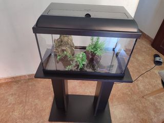 Filtro acuario 
