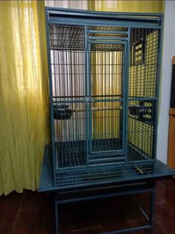 Jaula pajaros grande - Verde