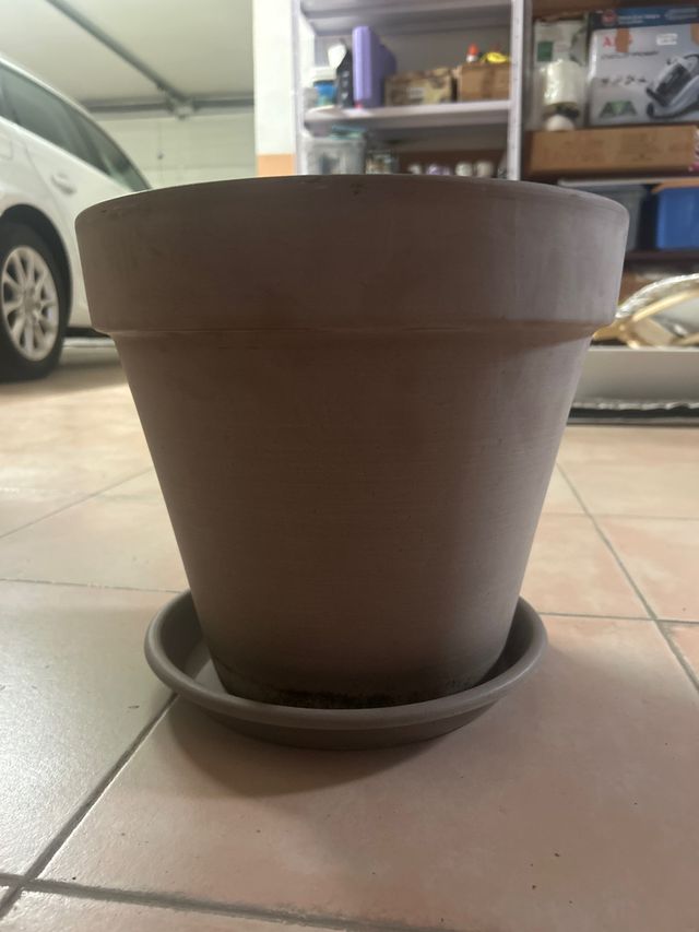 Maceta Terracota Marrón con Plato