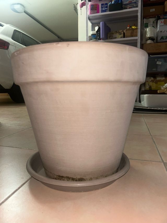 Maceta Terracota Marrón con Plato