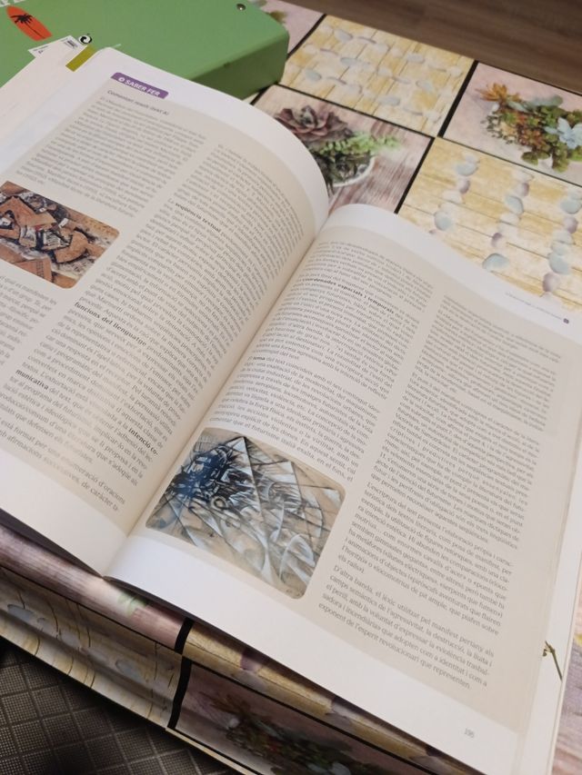 Llengua I Literatura, 2 Batxillerat