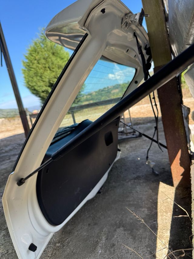 Portón Ford Fiesta ST-150 blanco