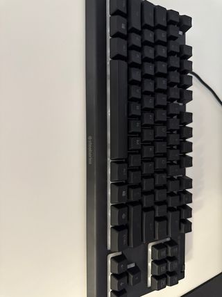 Teclado SteelSeries Apex 3 TKL 