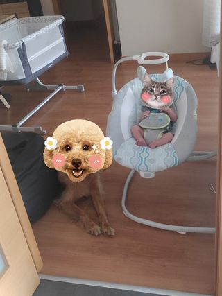 Mecedora Ingenuity bebé