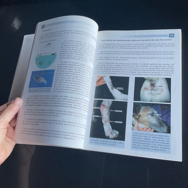 /|||Libro "Cuidados y 1os auxilios perros y gatos"