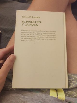El Maestro Y La Rosa