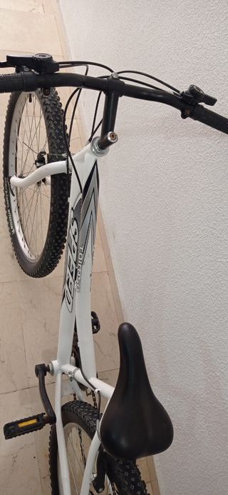 Bicicleta blanca