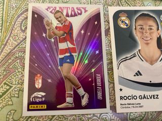 Lote Cromos Liga F Panini 24/25