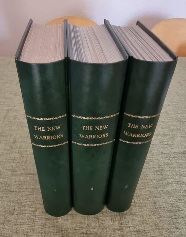 Colección completa de The New Warriors