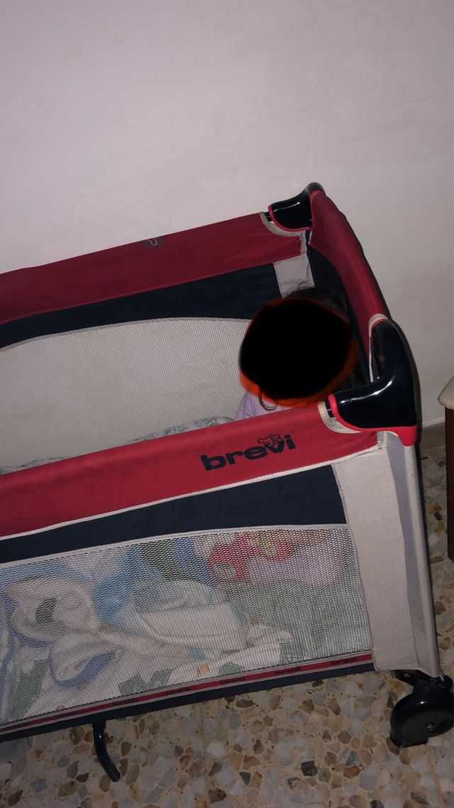 Culla campeggio Brevi: rossa & blu