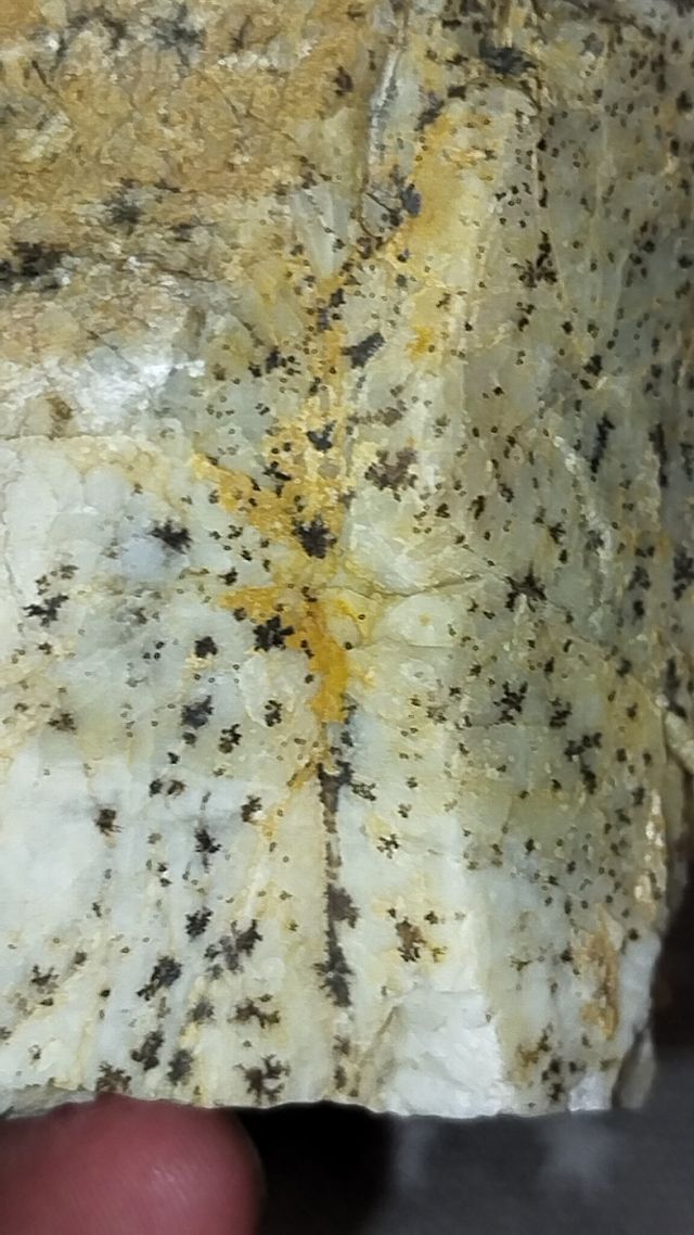 Varietà minerale wulfenite chillagite.