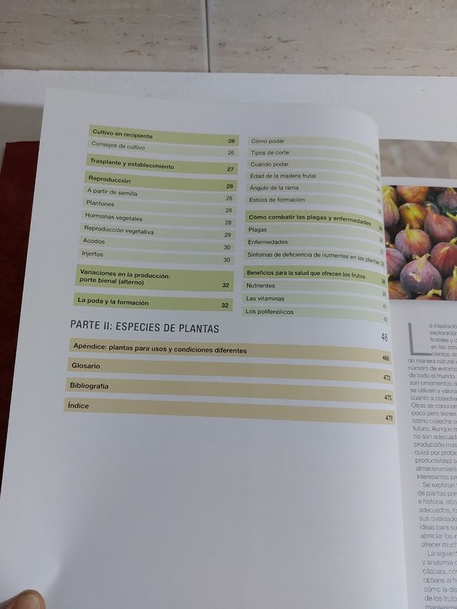 Enciclopedia de las Frutas del Mundo