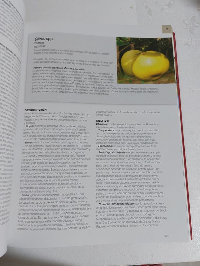 Enciclopedia de las Frutas del Mundo
