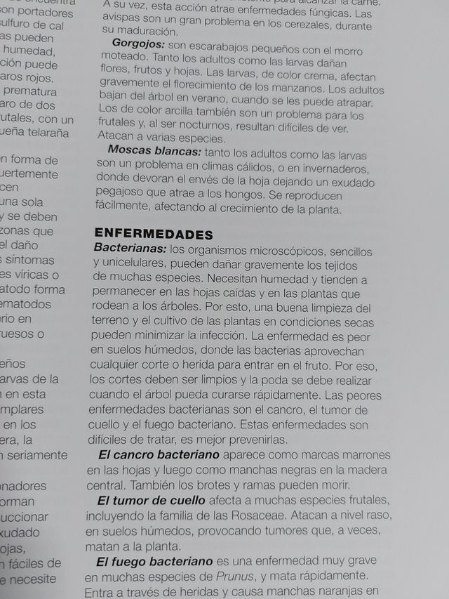 Enciclopedia de las Frutas del Mundo