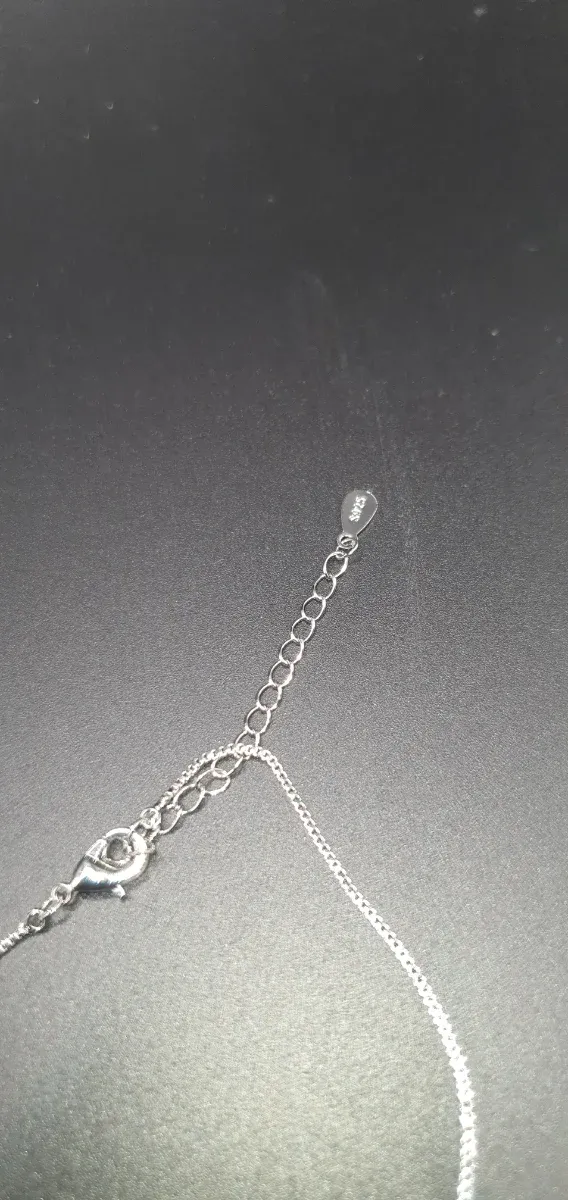 C3#Collar de Plata de ley 925