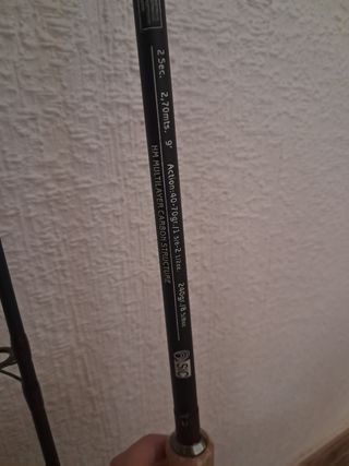 Caña Pesca telescópica