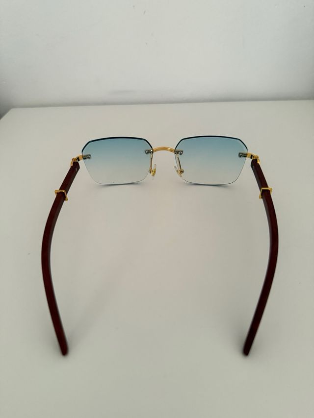 Gafas sol azules & marrones