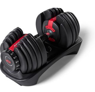 2 Mancuernas ajustables Bowflex SelectTech 552