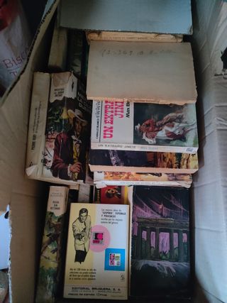 Lote de libros antiguos
