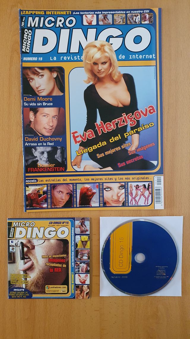Revista MICRO DINGO número 15