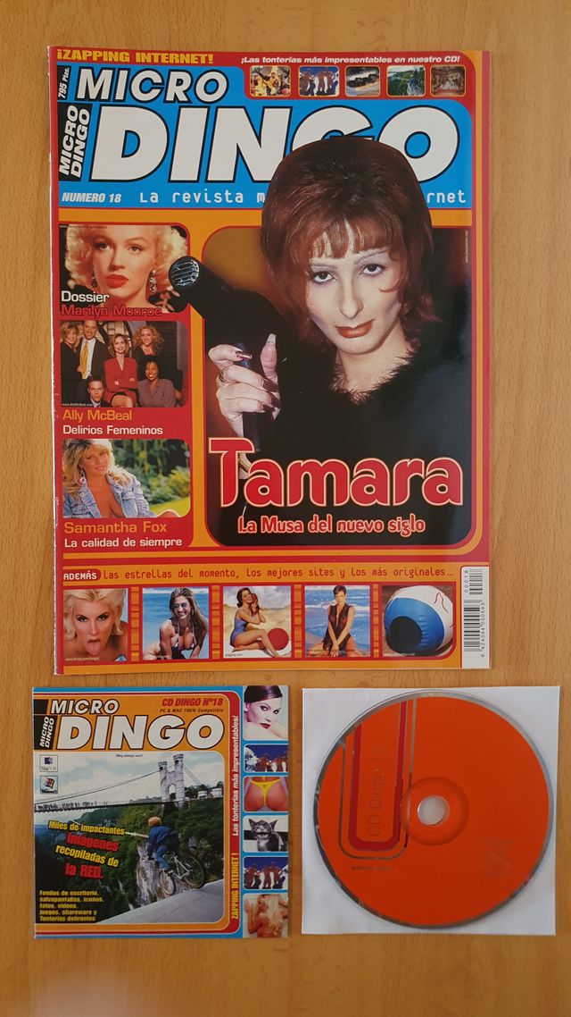 Revista MICRO DINGO número 18