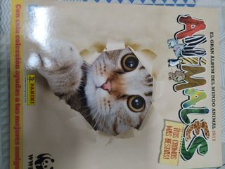 6 Álbumes Plancha Panini - Varias Colecciones