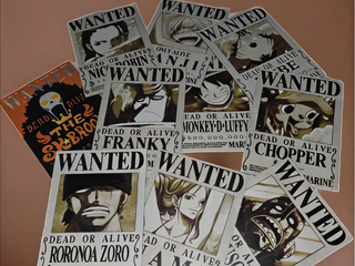 Carteles One Piece – Se Busca