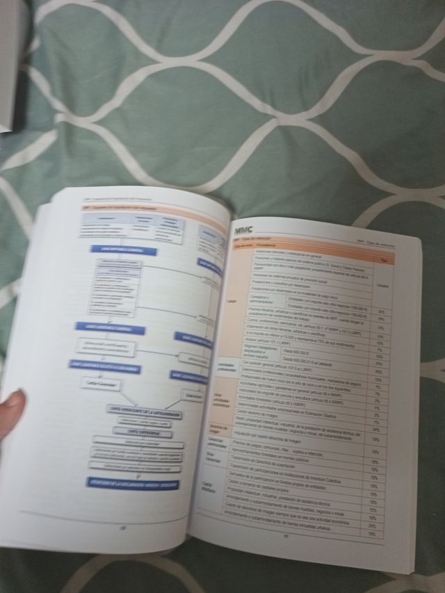 Agentes de Hacienda Esquemas de Tributario: Edi...