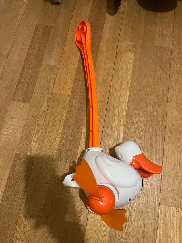 Pato empujador bebé