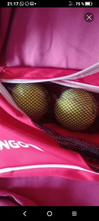 LOTE PARA TENIS VER FOTOS 