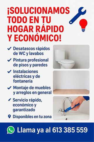 PINTOR PROFESIONAL, REPARACIONES, MONTAJE MUEBLES.