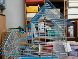 Jaula pájaros azul - blanca ideal para agapornis 