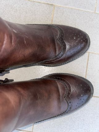 Stivaletti Chelsea Marroni