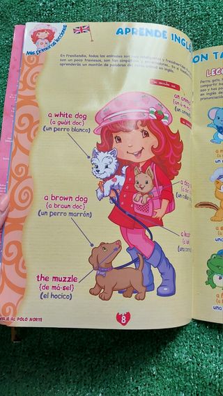 Tarta de Fresa nº10 + Regalo