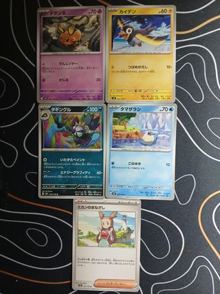 Cartas Pokémon - 5 cartas