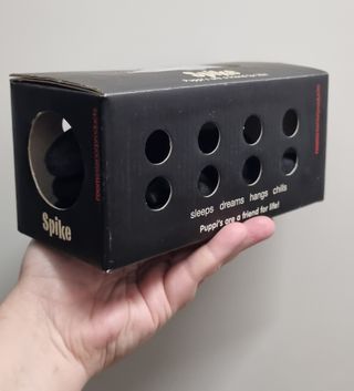 Peluche perro negro con collar (puppy PUP) de room