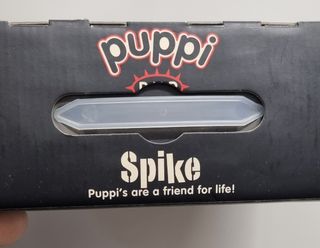 Peluche perro negro con collar (puppy PUP) de room