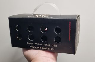 Peluche perro negro con collar (puppy PUP) de room