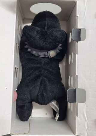 Peluche perro negro con collar (puppy PUP) de room