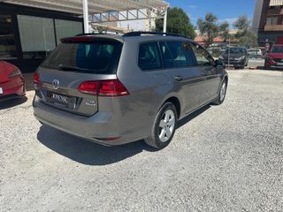 VOLKSWAGEN Golf Sport 1.6 TDI 85kW (115CV) Variant