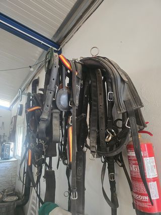Arreos Caballos - Enganche
