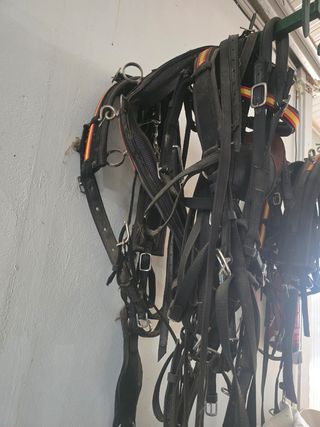 Arreos Caballos - Enganche
