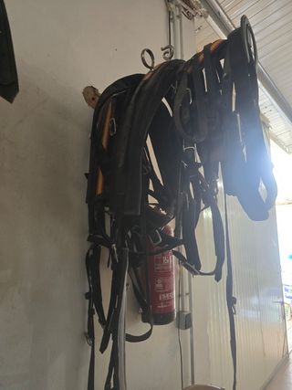 Arreos Caballos - Enganche